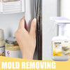 MoldAway Spray – Say goodbye to dampness and mold instantly!