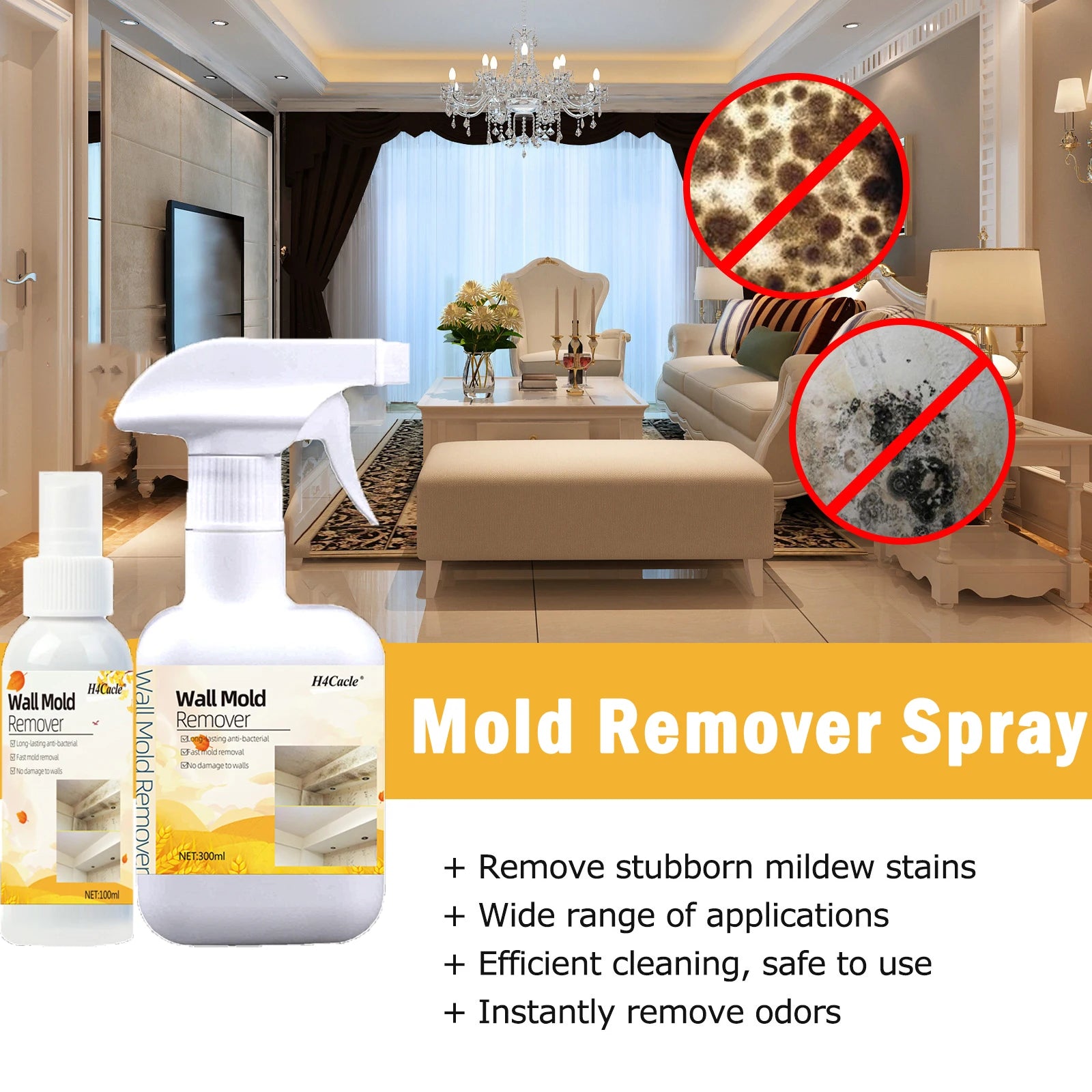 MoldAway Spray – Say goodbye to dampness and mold instantly!