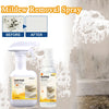 MoldAway Spray – Say goodbye to dampness and mold instantly!
